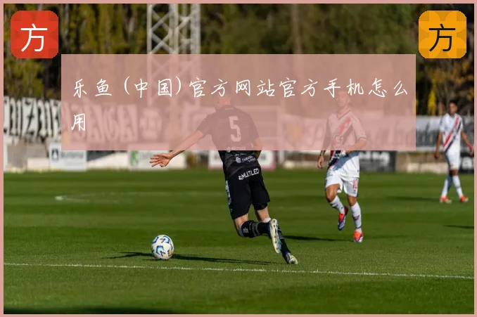 乐鱼 (中国)官方网站官方手机怎么用