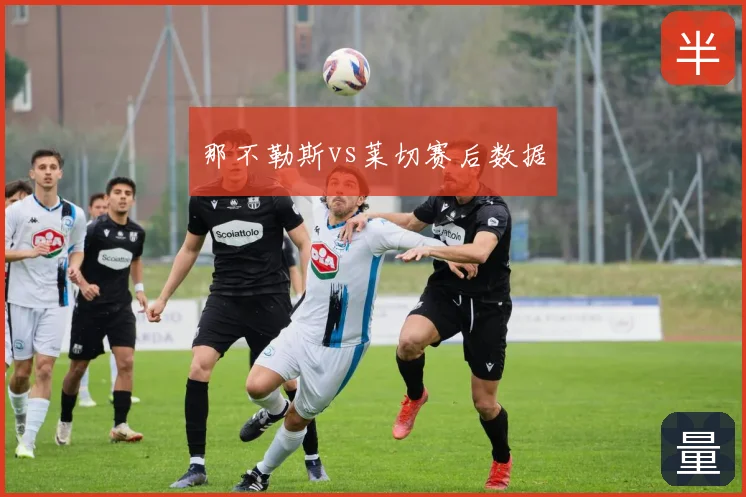 那不勒斯vs莱切赛后数据