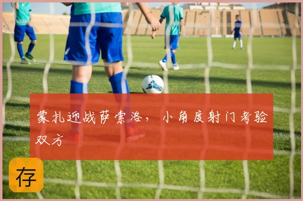 蒙扎迎战萨索洛，小角度射门考验双方